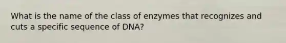 What is the name of the class of enzymes that recognizes and cuts a specific sequence of DNA?