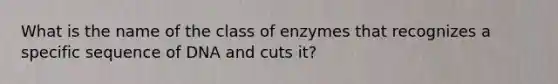 What is the name of the class of enzymes that recognizes a specific sequence of DNA and cuts it?