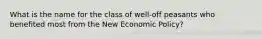 What is the name for the class of well-off peasants who benefited most from the New Economic Policy?