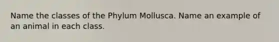 Name the classes of the Phylum Mollusca. Name an example of an animal in each class.