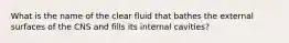 What is the name of the clear fluid that bathes the external surfaces of the CNS and fills its internal cavities?