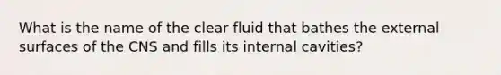 What is the name of the clear fluid that bathes the external surfaces of the CNS and fills its internal cavities?