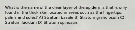 What is the name of the clear layer of the epidermis that is only found in the thick skin located in areas such as the fingertips, palms and soles? A) Stratum basale B) Stratum granulosum C) Stratum lucidum D) Stratum spinosum