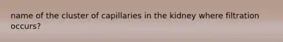 name of the cluster of capillaries in the kidney where filtration occurs?