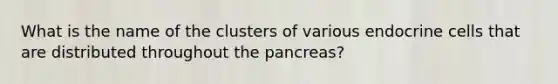 What is the name of the clusters of various endocrine cells that are distributed throughout the pancreas?