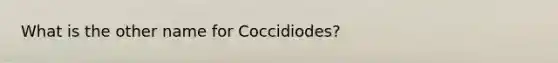 What is the other name for Coccidiodes?