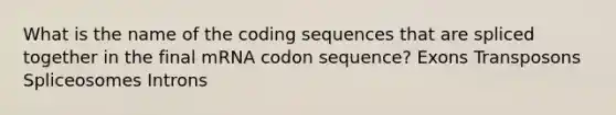 What is the name of the coding sequences that are spliced together in the final mRNA codon sequence? Exons Transposons Spliceosomes Introns