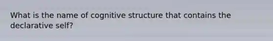 What is the name of cognitive structure that contains the declarative self?