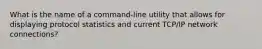 What is the name of a command-line utility that allows for displaying protocol statistics and current TCP/IP network connections?