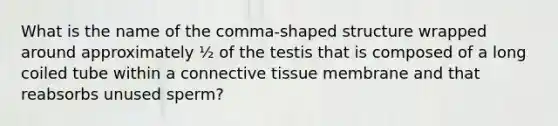 What is the name of the comma-shaped structure wrapped around approximately ½ of the testis that is composed of a long coiled tube within a connective tissue membrane and that reabsorbs unused sperm?