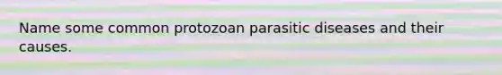 Name some common protozoan parasitic diseases and their causes.