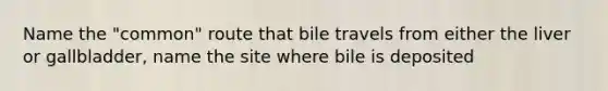 Name the "common" route that bile travels from either the liver or gallbladder, name the site where bile is deposited