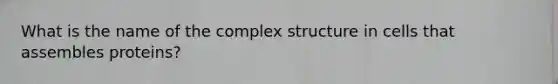 What is the name of the complex structure in cells that assembles proteins?