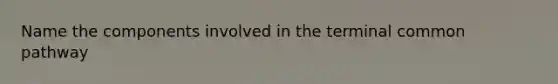 Name the components involved in the terminal common pathway