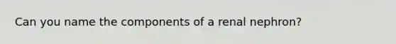 Can you name the components of a renal nephron?