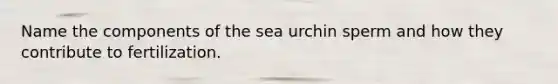 Name the components of the sea urchin sperm and how they contribute to fertilization.