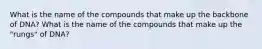 What is the name of the compounds that make up the backbone of DNA? What is the name of the compounds that make up the "rungs" of DNA?