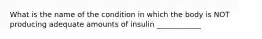 What is the name of the condition in which the body is NOT producing adequate amounts of insulin ____________