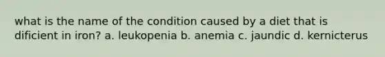 what is the name of the condition caused by a diet that is dificient in iron? a. leukopenia b. anemia c. jaundic d. kernicterus