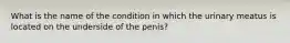 What is the name of the condition in which the urinary meatus is located on the underside of the penis?