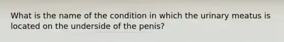 What is the name of the condition in which the urinary meatus is located on the underside of the penis?