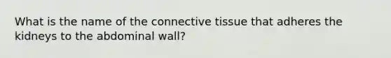 What is the name of the <a href='https://www.questionai.com/knowledge/kYDr0DHyc8-connective-tissue' class='anchor-knowledge'>connective tissue</a> that adheres the kidneys to the abdominal wall?