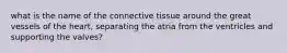 what is the name of the connective tissue around the great vessels of the heart, separating the atria from the ventricles and supporting the valves?