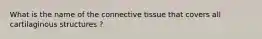 What is the name of the connective tissue that covers all cartilaginous structures ?