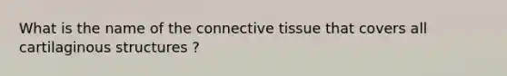 What is the name of the connective tissue that covers all cartilaginous structures ?