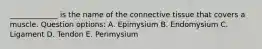 _____________ is the name of the connective tissue that covers a muscle. Question options: A. Epimysium B. Endomysium C. Ligament D. Tendon E. Perimysium