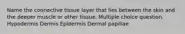 Name the connective tissue layer that lies between the skin and the deeper muscle or other tissue. Multiple choice question. Hypodermis Dermis Epidermis Dermal papillae