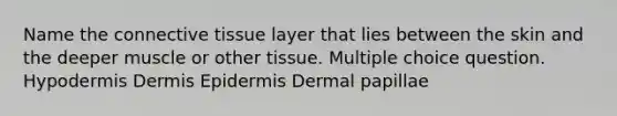 Name the <a href='https://www.questionai.com/knowledge/kYDr0DHyc8-connective-tissue' class='anchor-knowledge'>connective tissue</a> layer that lies between the skin and the deeper muscle or other tissue. Multiple choice question. Hypodermis Dermis Epidermis Dermal papillae