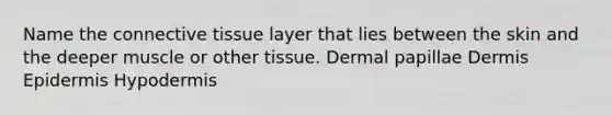 Name the connective tissue layer that lies between the skin and the deeper muscle or other tissue. Dermal papillae Dermis Epidermis Hypodermis