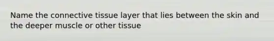 Name the connective tissue layer that lies between the skin and the deeper muscle or other tissue