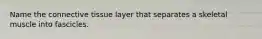 Name the connective tissue layer that separates a skeletal muscle into fascicles.