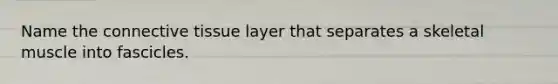 Name the connective tissue layer that separates a skeletal muscle into fascicles.