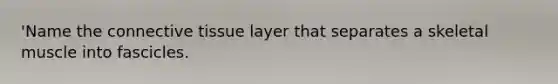 'Name the connective tissue layer that separates a skeletal muscle into fascicles.