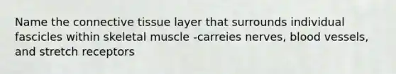 Name the <a href='https://www.questionai.com/knowledge/kYDr0DHyc8-connective-tissue' class='anchor-knowledge'>connective tissue</a> layer that surrounds individual fascicles within skeletal muscle -carreies nerves, <a href='https://www.questionai.com/knowledge/kZJ3mNKN7P-blood-vessels' class='anchor-knowledge'>blood vessels</a>, and stretch receptors