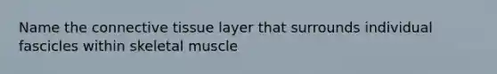 Name the connective tissue layer that surrounds individual fascicles within skeletal muscle