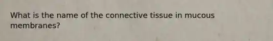 What is the name of the connective tissue in mucous membranes?