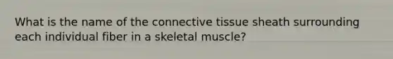 What is the name of the connective tissue sheath surrounding each individual fiber in a skeletal muscle?