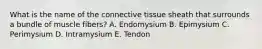 What is the name of the connective tissue sheath that surrounds a bundle of muscle fibers? A. Endomysium B. Epimysium C. Perimysium D. Intramysium E. Tendon