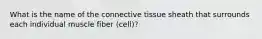 What is the name of the connective tissue sheath that surrounds each individual muscle fiber (cell)?