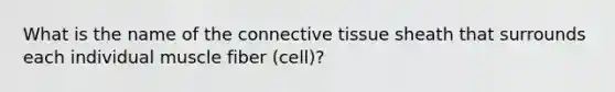 What is the name of the connective tissue sheath that surrounds each individual muscle fiber (cell)?