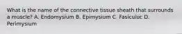 What is the name of the connective tissue sheath that surrounds a muscle? A. Endomysium B. Epimysium C. Fasiculuc D. Perimysium