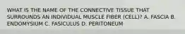 WHAT IS THE NAME OF THE CONNECTIVE TISSUE THAT SURROUNDS AN INDIVIDUAL MUSCLE FIBER (CELL)? A. FASCIA B. ENDOMYSIUM C. FASICULUS D. PERITONEUM