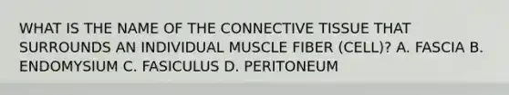 WHAT IS THE NAME OF THE <a href='https://www.questionai.com/knowledge/kYDr0DHyc8-connective-tissue' class='anchor-knowledge'>connective tissue</a> THAT SURROUNDS AN INDIVIDUAL MUSCLE FIBER (CELL)? A. FASCIA B. ENDOMYSIUM C. FASICULUS D. PERITONEUM