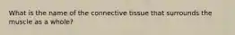 What is the name of the connective tissue that surrounds the muscle as a whole?