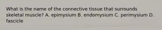 What is the name of the connective tissue that surrounds skeletal muscle? A. epimysium B. endomysium C. perimysium D. fascicle