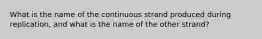 What is the name of the continuous strand produced during replication, and what is the name of the other strand?